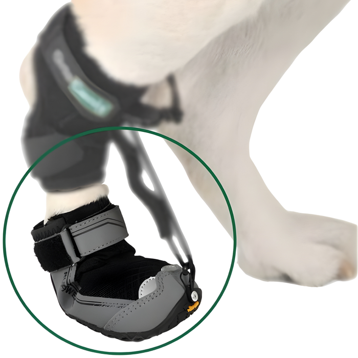 Bota para Corrector Propioceptivo Canino | Suela de Caucho