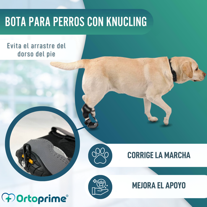 Bota para Corrector Propioceptivo Canino | Suela de Caucho