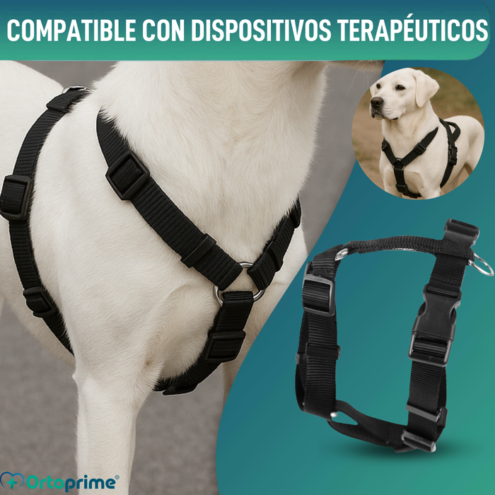 Arnés Canino para Rehabilitación Neurológica | 5 Tallas
