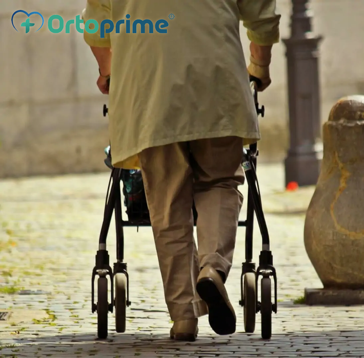 Andador con Silla de Ruedas Plegable con Cesta Innovation