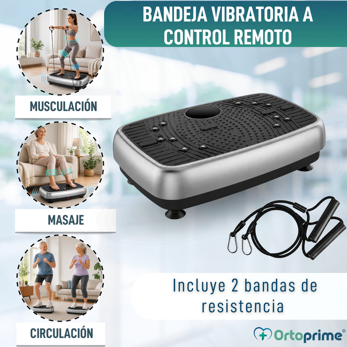 Plataforma Vibratoria para Actividad Física | Doble Motor