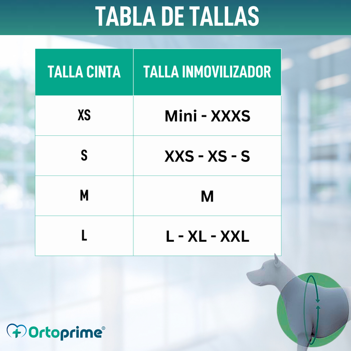 Cinta Canina de Sujeción Lumbar para Inmobilizador de Rodilla