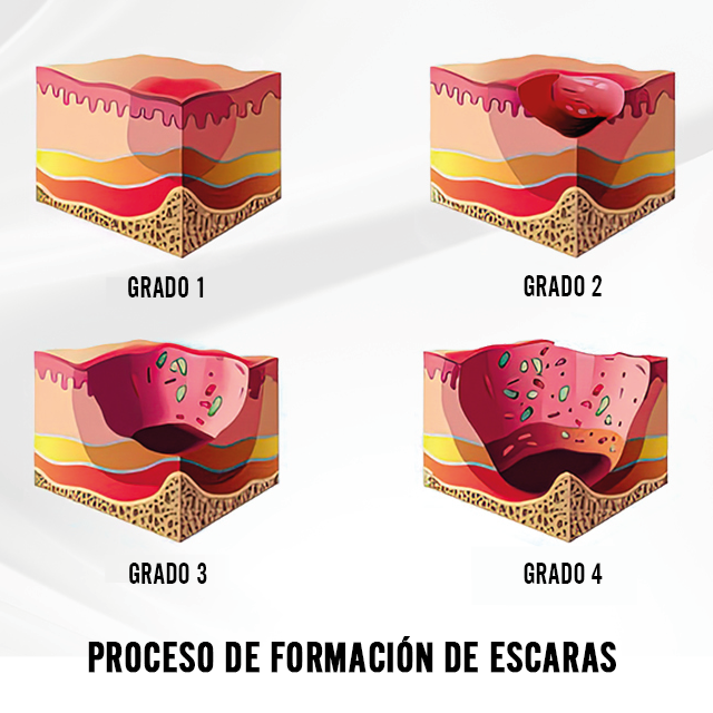 Patucos Estándar Autoajustables | Par
