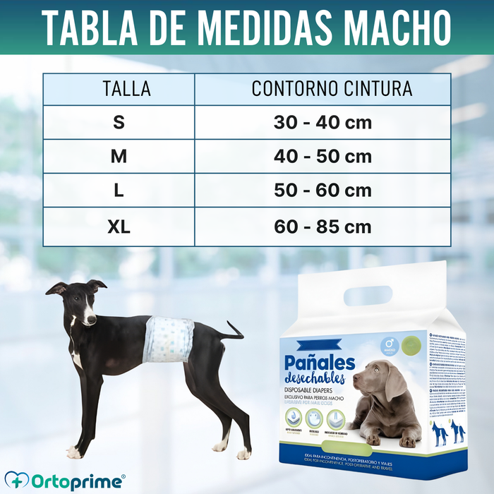 Pañales para Perro Macho Ultra Absorbente | Pack 12 Unidades