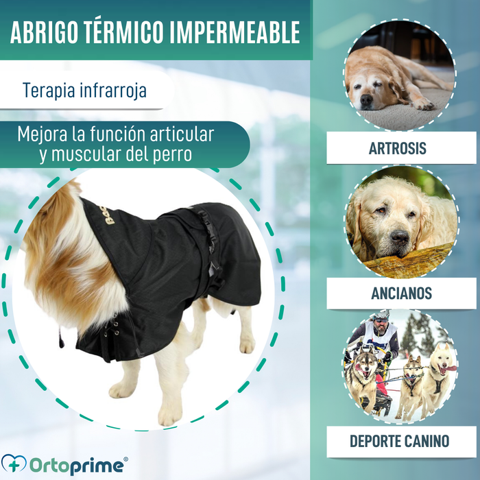 Abrigo Térmico Impermeable para Perros | Back on Track