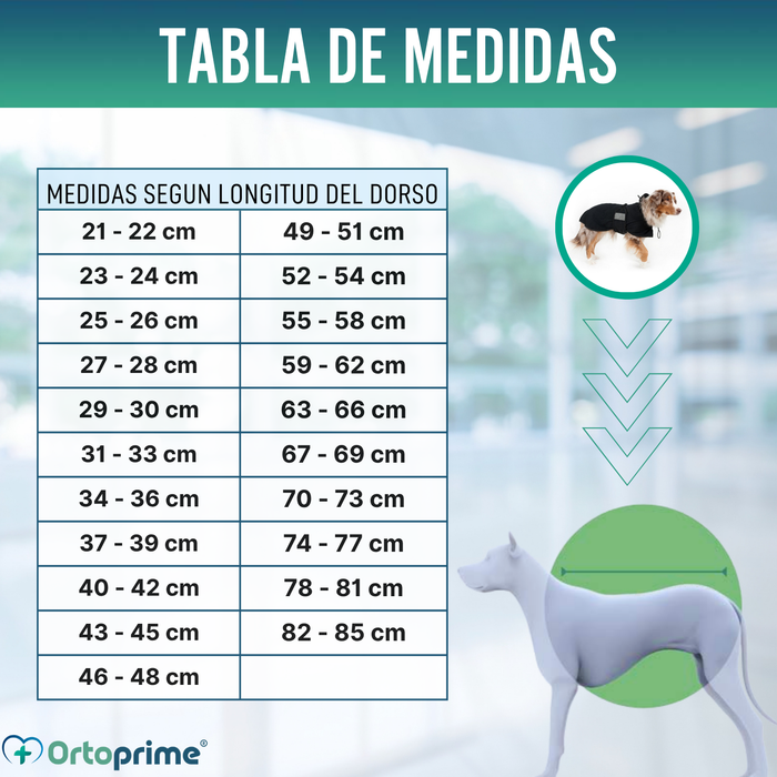 Abrigo Térmico Impermeable para Perros | Back on Track