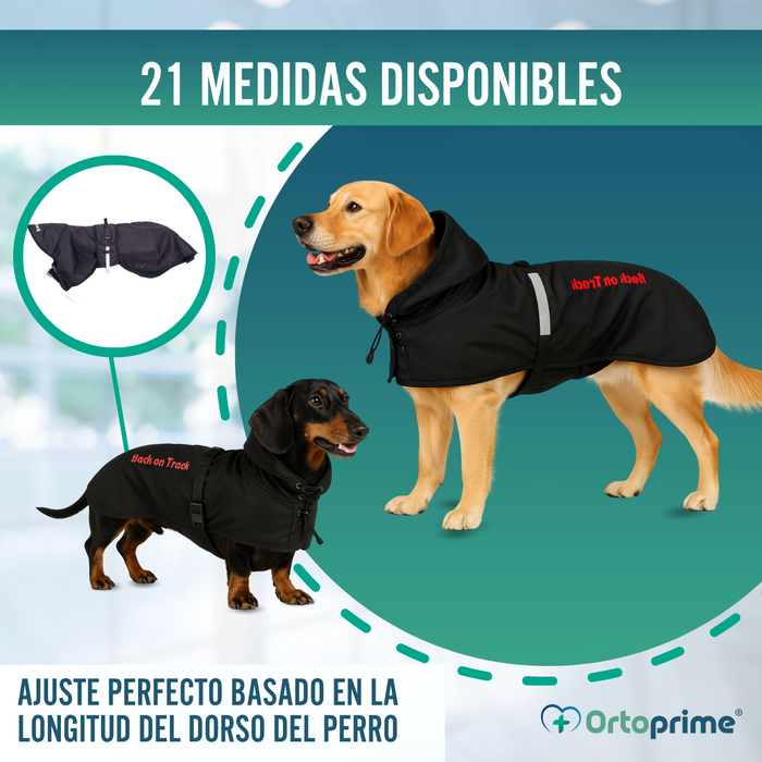 Abrigo Térmico Impermeable para Perros | Back on Track