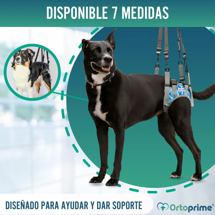 Arnés para Perros con Movilidad Reducida en Patas Traseras
