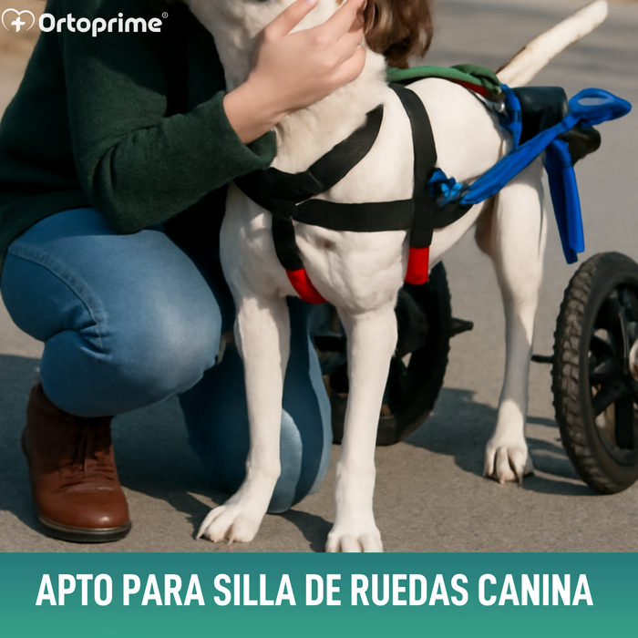 Arnés para Perros con Movilidad Reducida en Patas Traseras