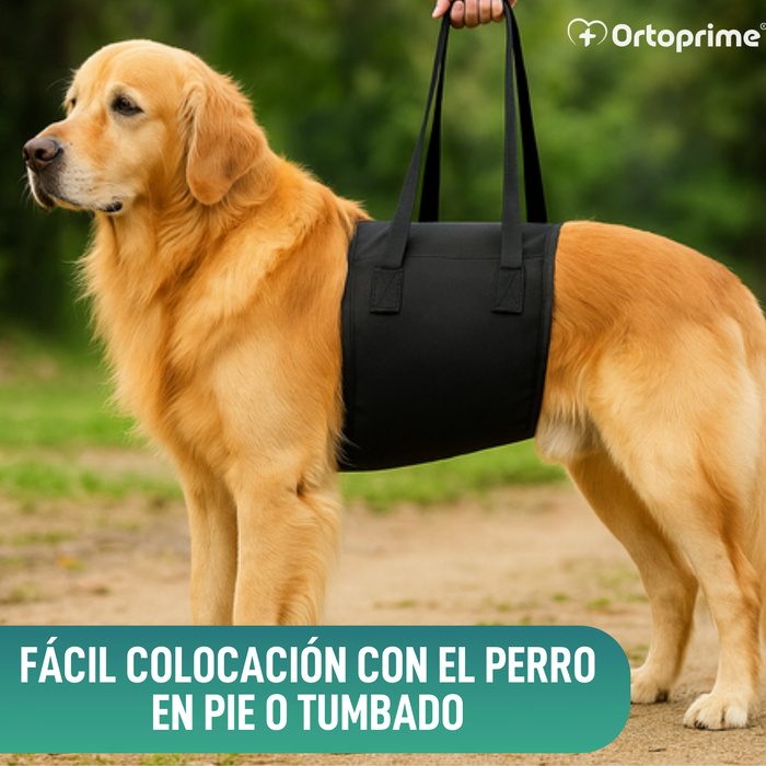 Banda de Ayuda para Perros con Movilidad Reducida | 5 Tallas