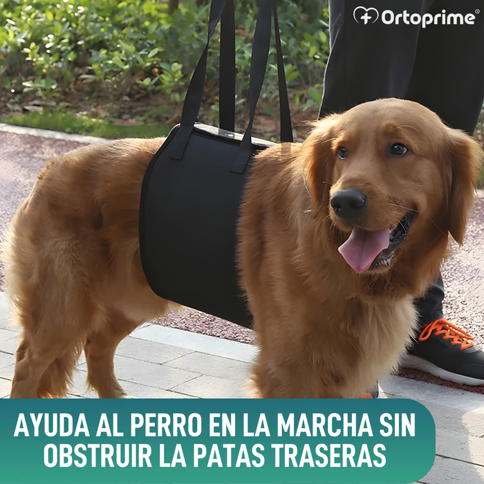 Banda de Ayuda para Perros con Movilidad Reducida | 5 Tallas