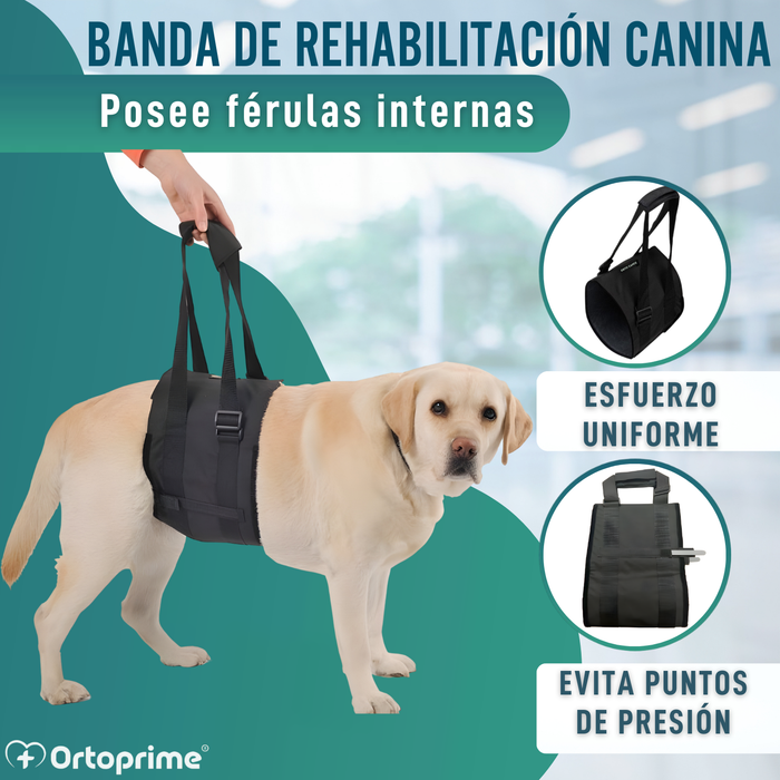 Banda de Ayuda para Perros con Movilidad Reducida | 5 Tallas
