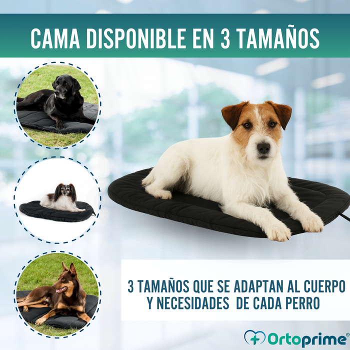 Cama Térmica para Perros con Artrosis | Tejido Terapéutico