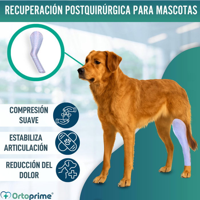 Férula Rápida para Extremidades de Perros y Gatos | 3 Tallas