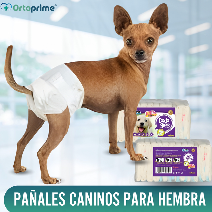 Pañales Caninos para Hembras y Cachorros | Máxima Absorción