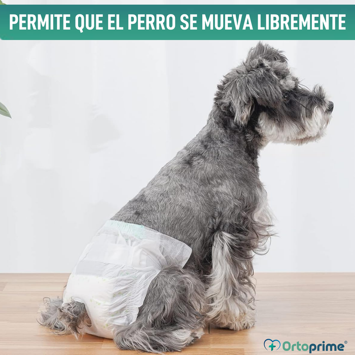 Pañales Caninos para Hembras y Cachorros | Máxima Absorción