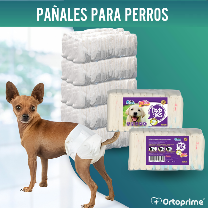 Pañales Caninos para Hembras y Cachorros | Máxima Absorción