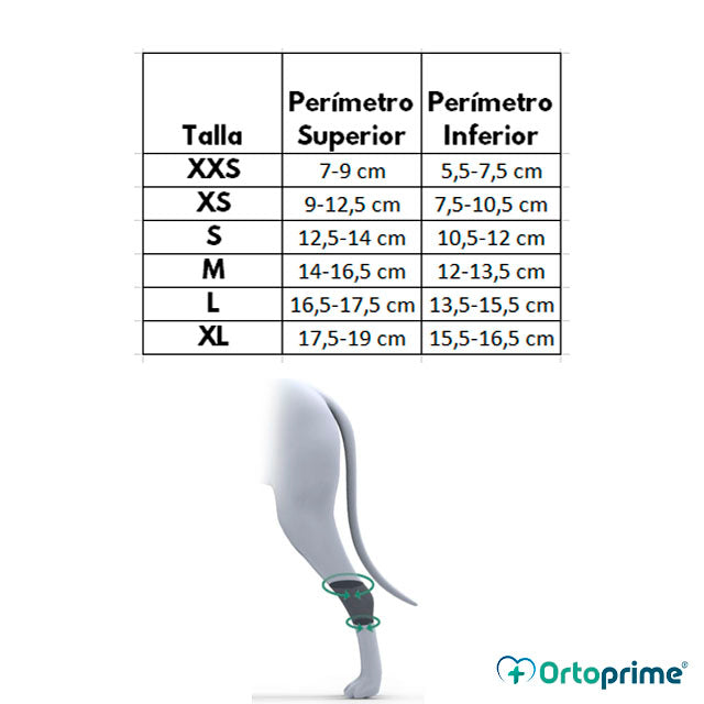 tallas-soporte-tarso-perro-ortoprime