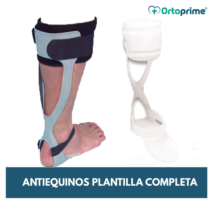 antiequino-rancho-de-los-amigos-ortoprime